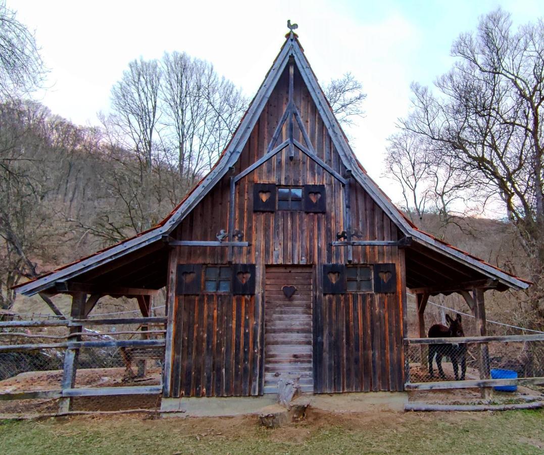 Hanul Din Padure Danes Exterior photo